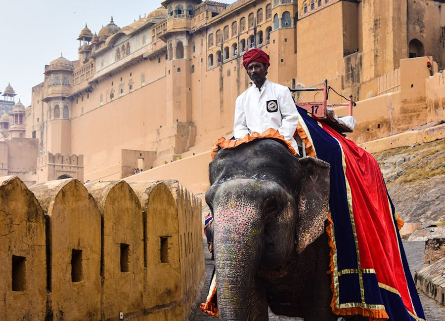 Royal Lucknow Experience 